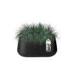 pure cone long wheels 75 black